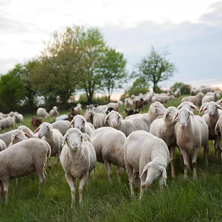 Sleep Space 2 - Tiny Spot Dolmar Σπίτι διακοπών