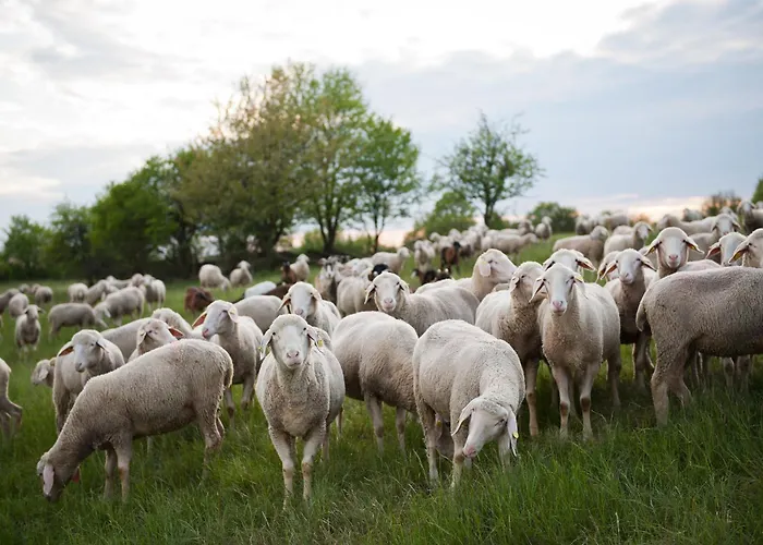 Sleep Space 2 - Tiny Spot Dolmar Casa vacanze